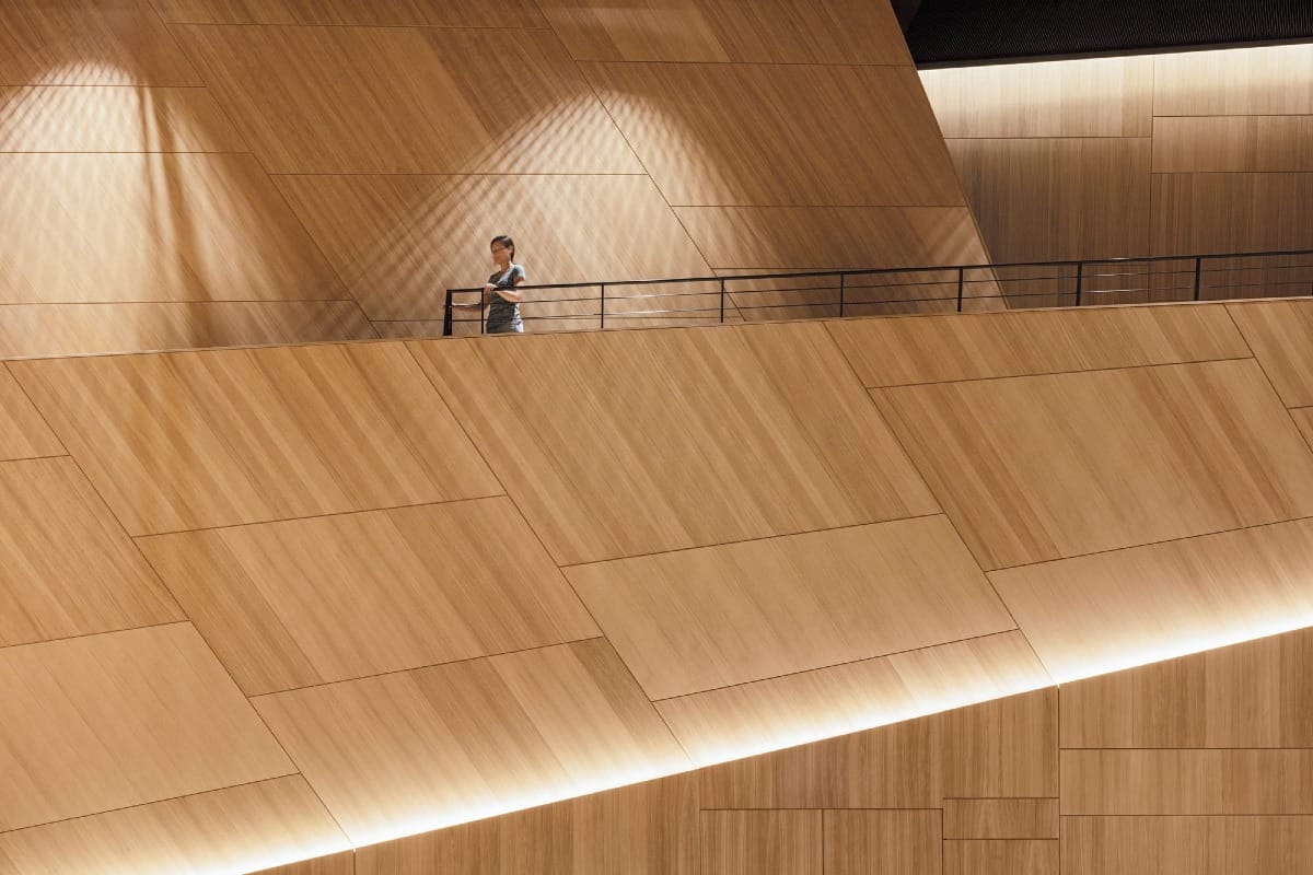 HENN compose avec la lumière et le bois | TauberPhilharmonie