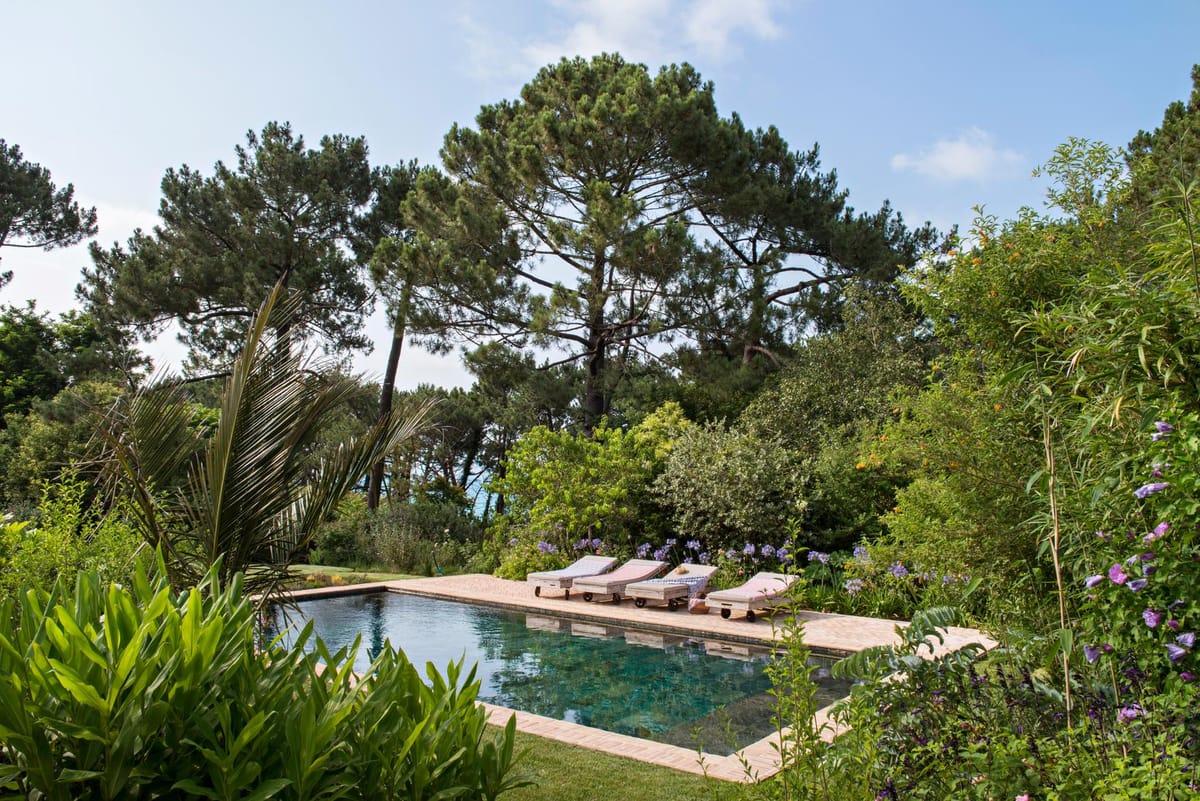 Une villa entre forêt et horizon
