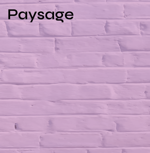 Paysage