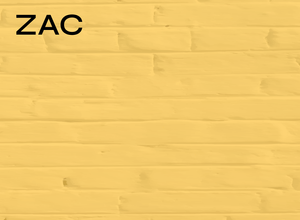 ZAC (Zone d’Aménagement Concerté)