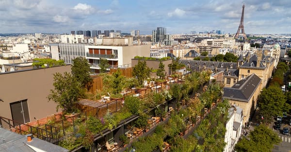 Villa M | une architecture vivante au cœur de Paris